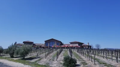 Temecula - Photo 5