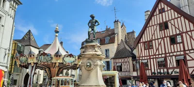 Dijon - Photo 4
