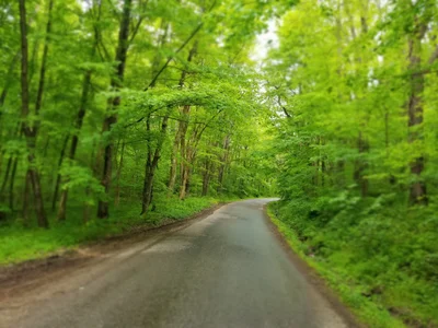 Walnut Creek - Photo 2