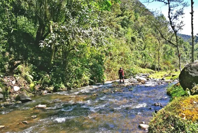 Tandayapa - Photo 4