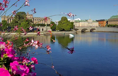 Stockholm - Photo 3