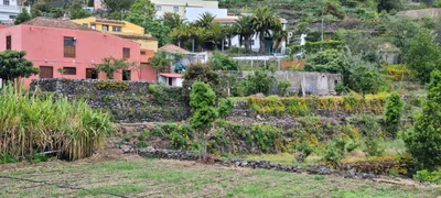 Icod de los Vinos - Photo 2