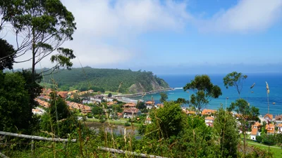 Ribeseya - Photo 4