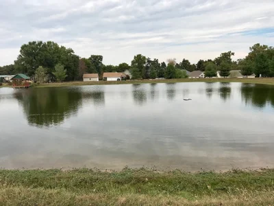 Carterville - Photo 2