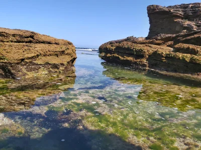 Warrnambool - Photo 2
