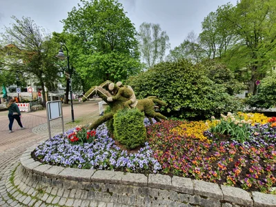Bad Harzburg - Photo 2