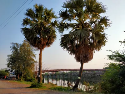 Sisophon - Photo 3
