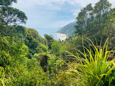 Karamea - Photo 3