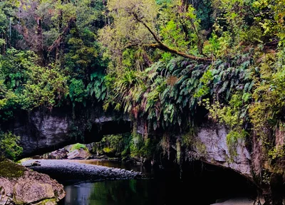 Karamea - Photo 5