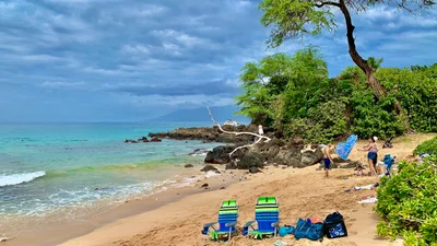 Maui - Photo 3