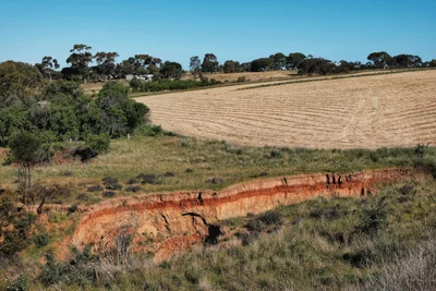 Currency Creek - Photo 3