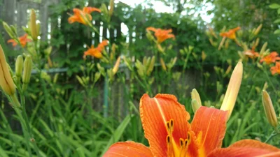 Clinton Township - Photo 2