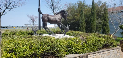 Chincoteague - Photo 5
