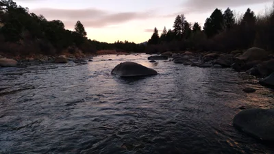 Buena Vista - Photo 5