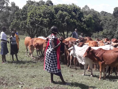 Narok - Photo 2