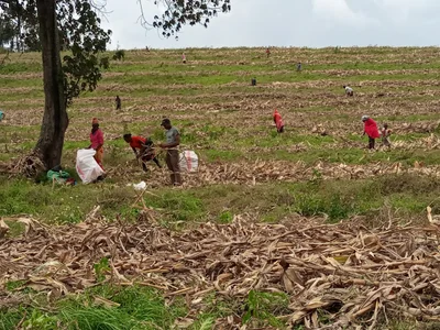 Narok - Photo 4