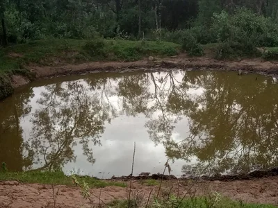 Narok - Photo 5