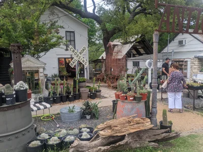 Wimberley - Photo 3