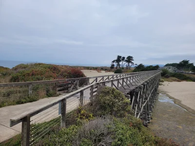 Fort Bragg - Photo 2