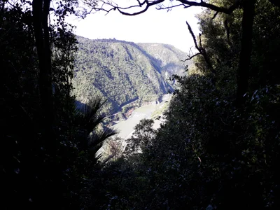 Aokautere - Photo 2