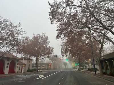 Concord - Photo 2