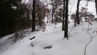 Middleburgh - Photo 2