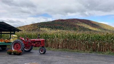 Middleburgh - Photo 5