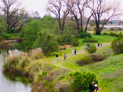 Folsom - Photo 2