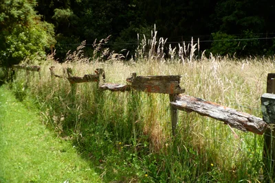 Owhango - Photo 3