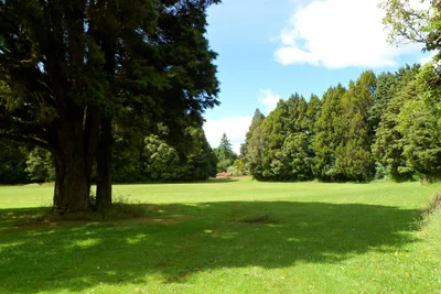 Owhango - Photo 4