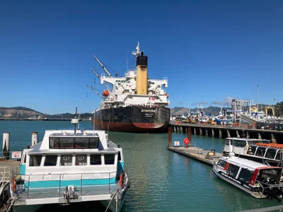Lyttelton - Photo 4