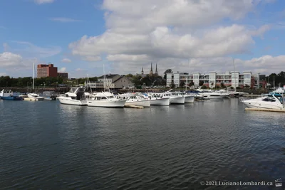 Charlottetown - Photo 5