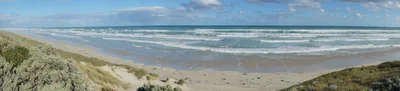 Nelson - Photo 4
