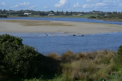 Nelson - Photo 5