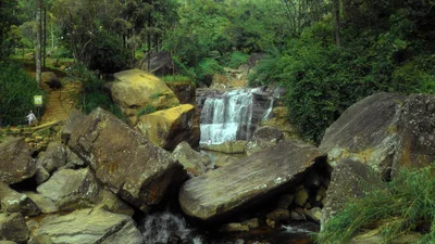 Ramboda - Photo 3