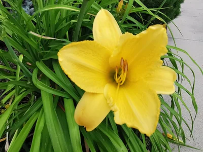Garden City - Photo 2