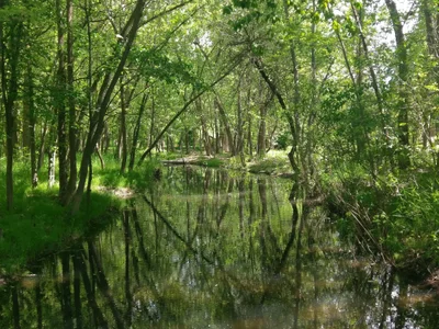 Garden City - Photo 3