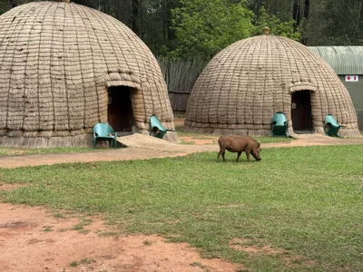 Mlilwane Wildlife Sanctuary - Photo 3