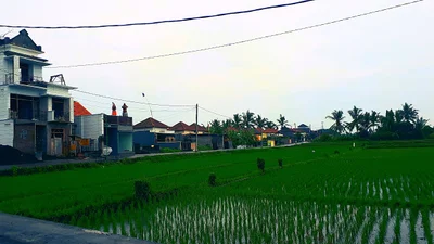 Kediri - Photo 4