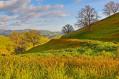 San Luis Obispo - Photo 2
