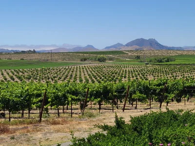 San Luis Obispo - Photo 4