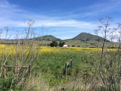 San Luis Obispo - Photo 5