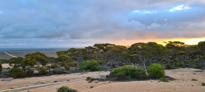 Eucla - Photo 2