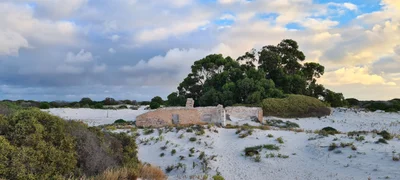 Eucla - Photo 3