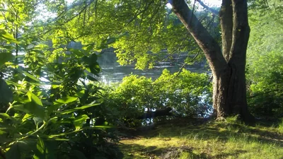 Orleans - Photo 4