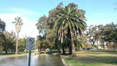 Stockton - Photo 5