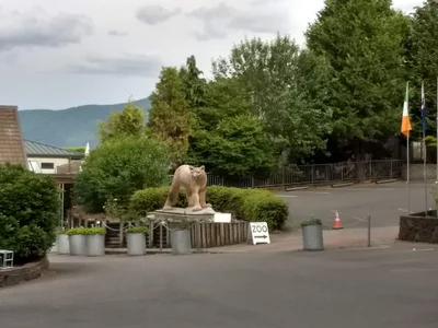 Issaquah - Photo 5