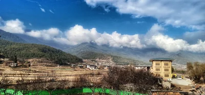 Paro - Photo 5