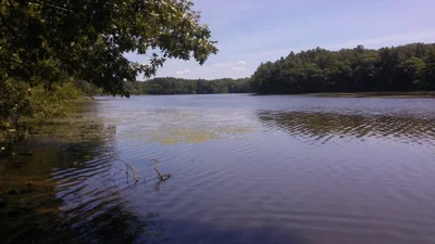 Natick - Photo 5