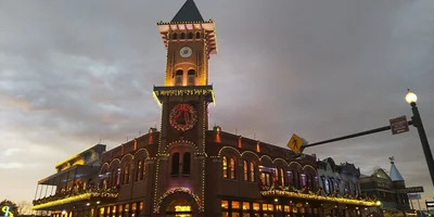 Grapevine - Photo 5